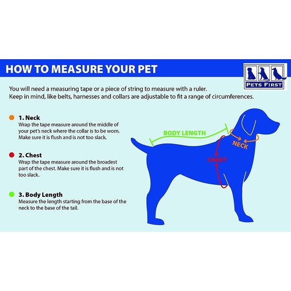 nba pet gear