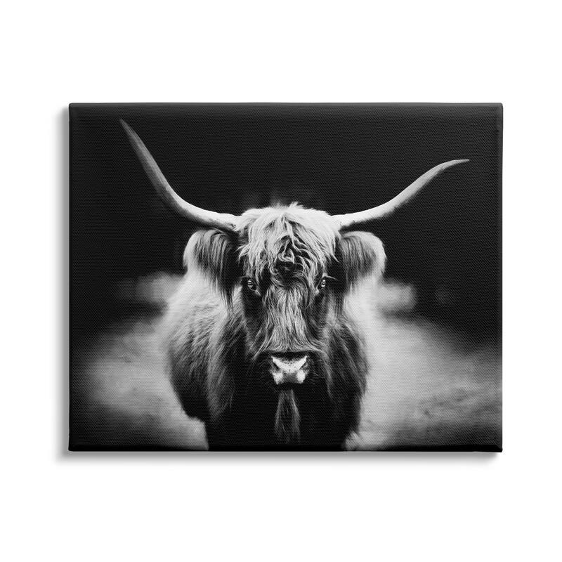 Stupell Bold Longhorn Portrait Black White Cattle Photography Canvas Wall Art - Grey - 30 x 24