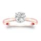 Option Rose
