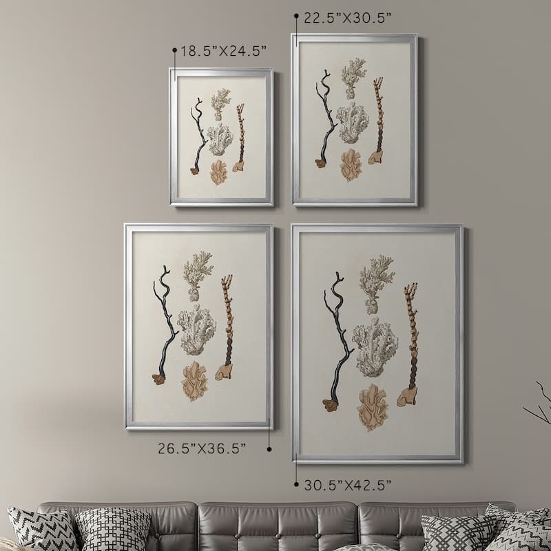 Knorr Shells & Coral V Premium Framed Print - Ready to Hang