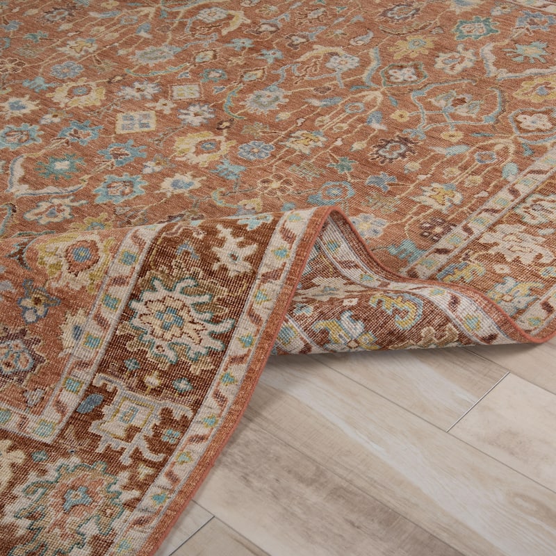 Alora Decor Traditional Hand-knotted Bordered Orange Rug