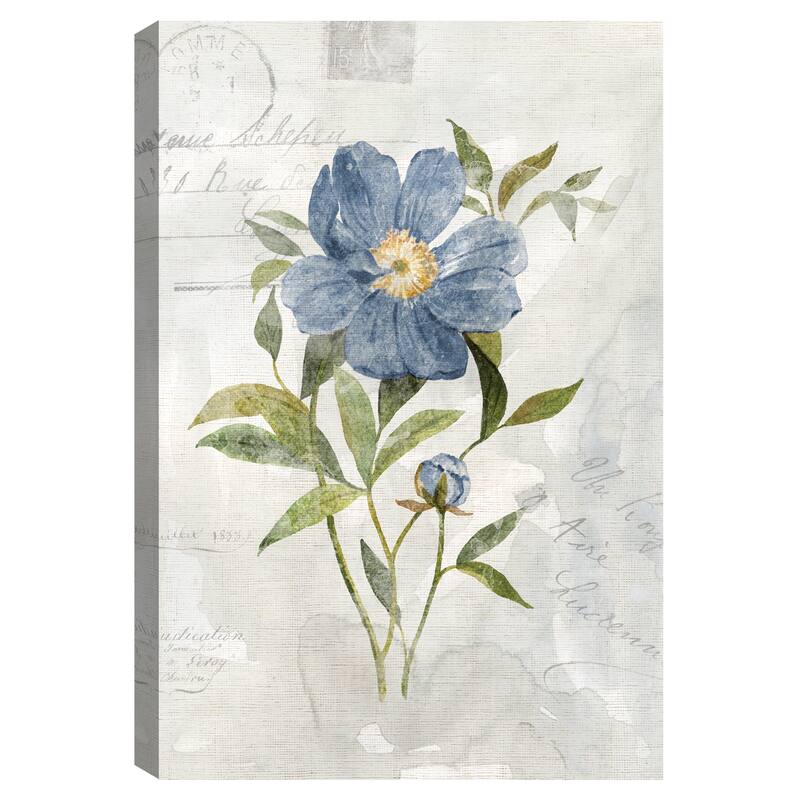 Blue Linen Peony by Carol Robinson Canvas Art Print