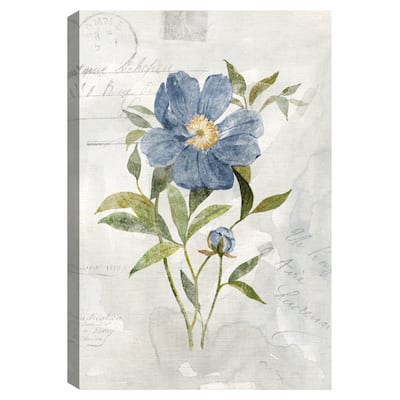 Blue Linen Peony by Carol Robinson Canvas Art Print