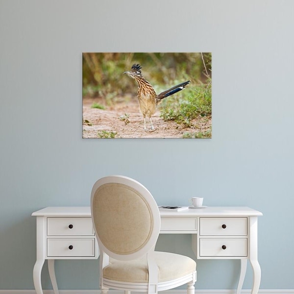 Easy Art Prints Larry Ditto's 'Greater Roadrunner' Premium Canvas Art