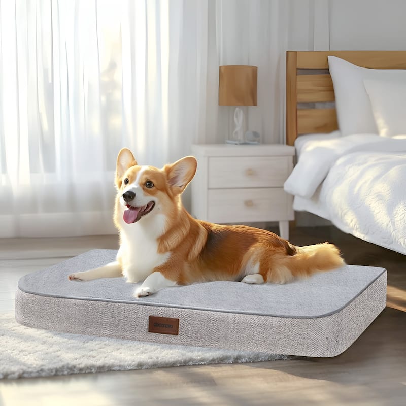 Orthopedic Dog Bed with Washable Cover - 36x27x3 - Grey/Grey