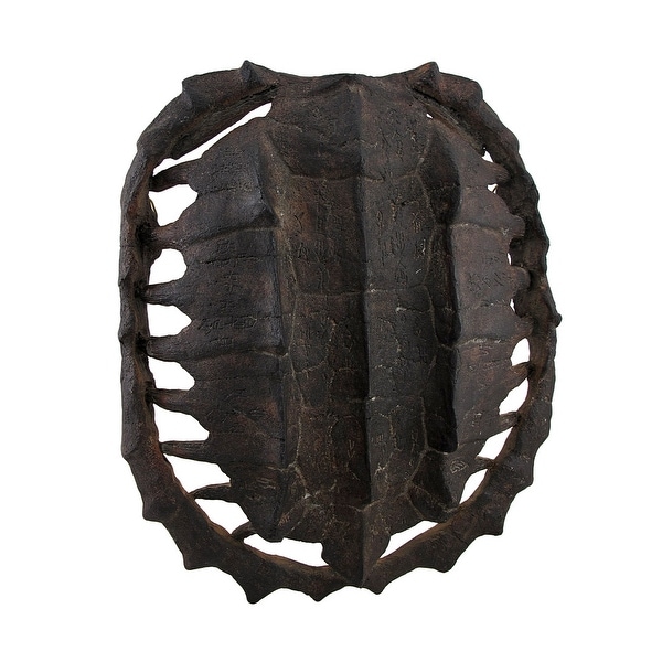 Dark Brown Faux Antiqued Turtle Shell Wall Mounted ...