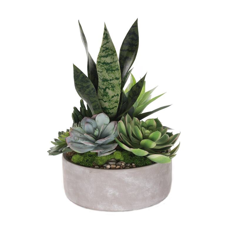 Artificial Botanical Succulent Variety in a Round pot - Green