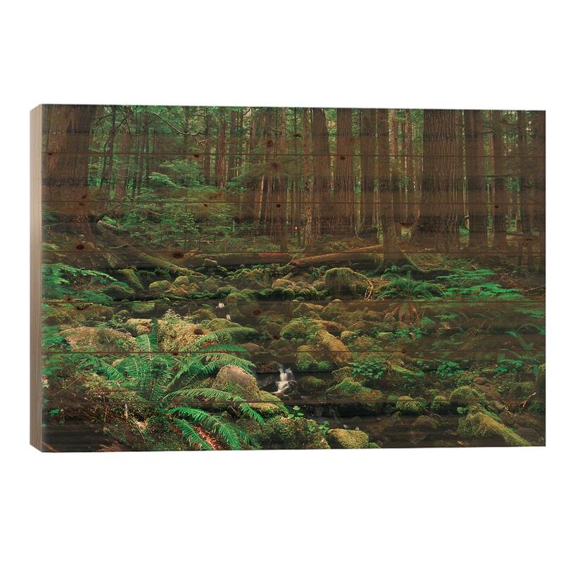 Creek In An Old Growth Forest, Olympic National Park, Washington, USA Print On Wood by Stuart Westmorland - Multi-Color - 18x26x1.5