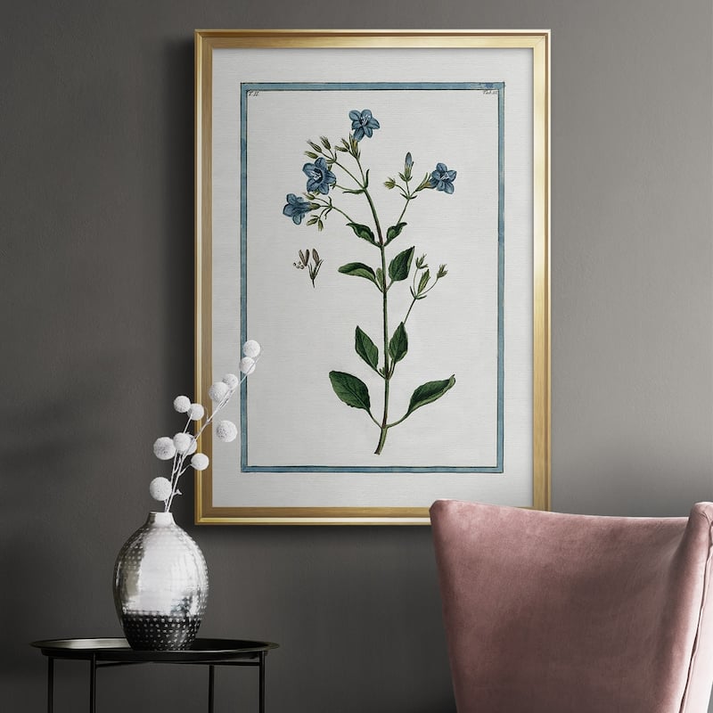 Shabby Chic Botanical II Premium Framed Print - Ready to Hang