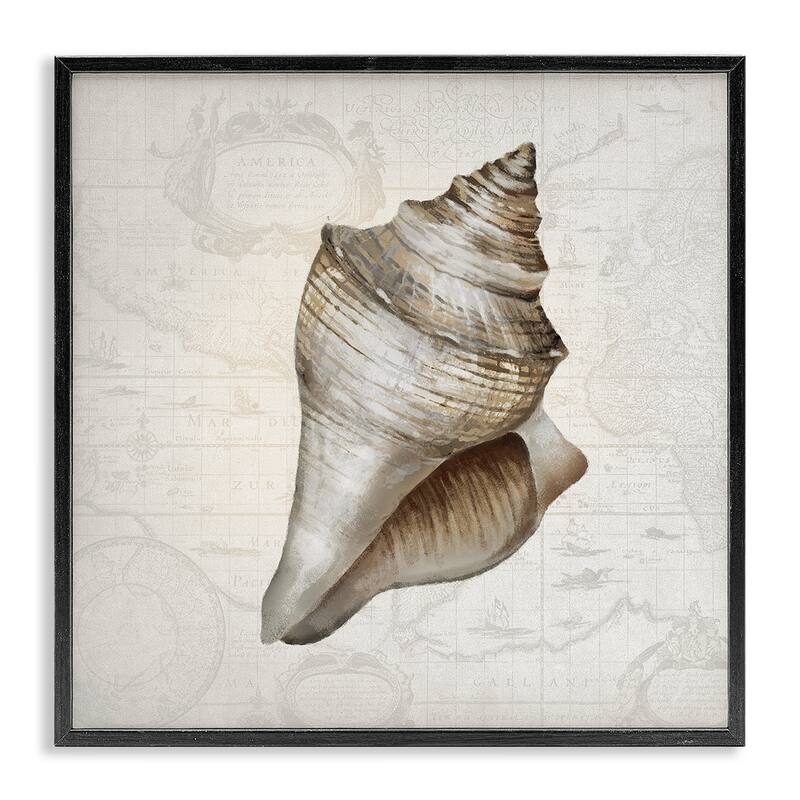 Stupell Conch Shell over Vintage Map Framed Giclee Art Design By Conrad Knutsen - 17 x 17 - Black
