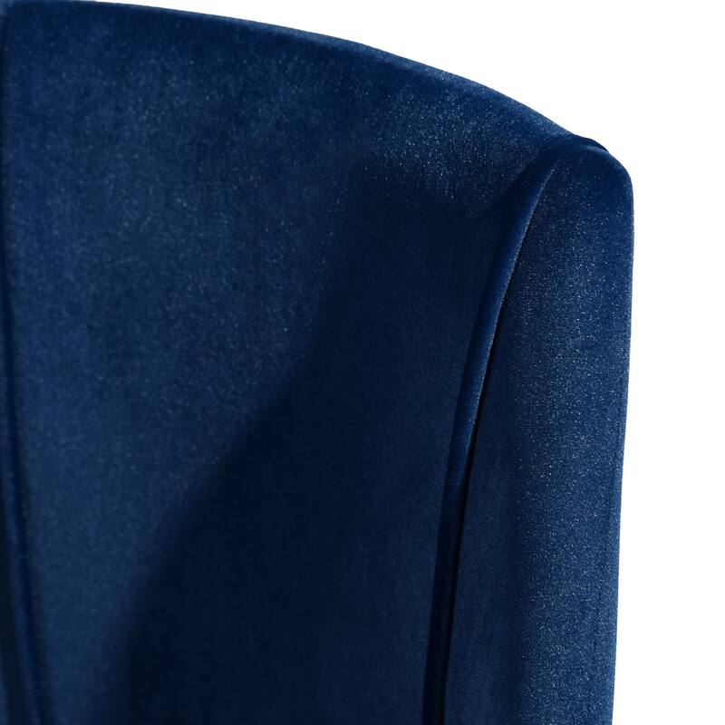 HomyLin Set of 2 Velvet Side Chair for Dining Room Home Kitchen