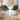 Spruce & Spring Modern Swivel Counter Height Bar Stool with Steel Frame
