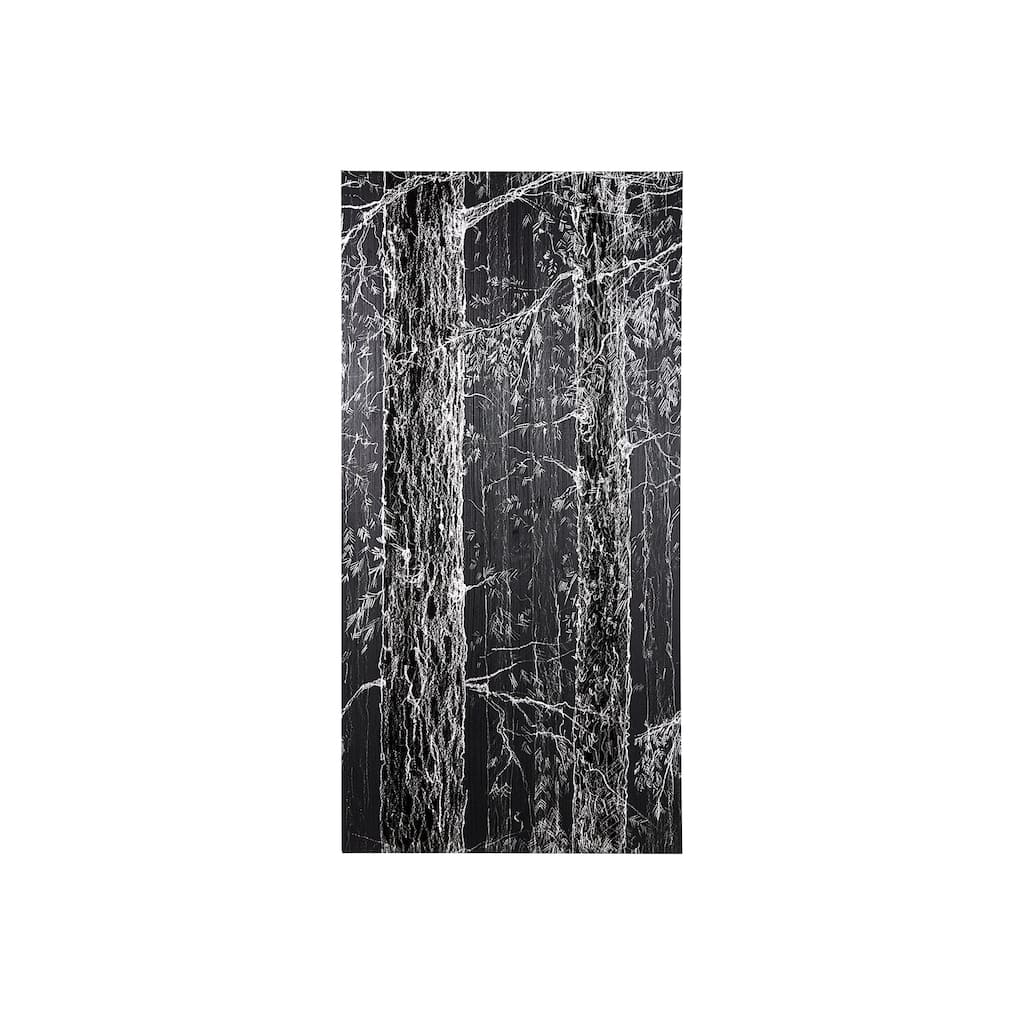 Forest BW II (22 x 44) Canvas Art Print