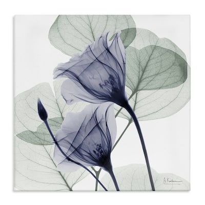 Stupell Serene Tulips & Herbs Canvas Wall Art Design By Albert Koetsier