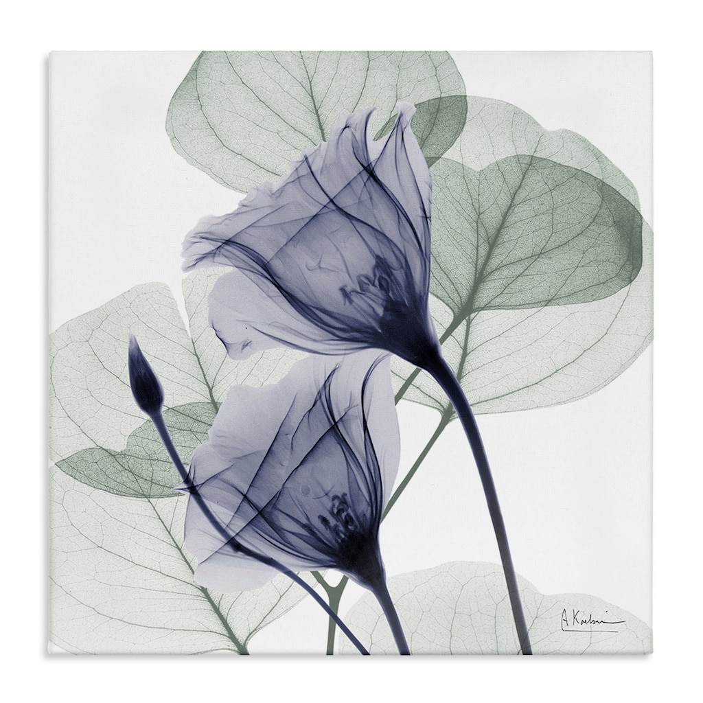 Stupell Serene Tulips & Herbs Canvas Wall Art Design By Albert Koetsier