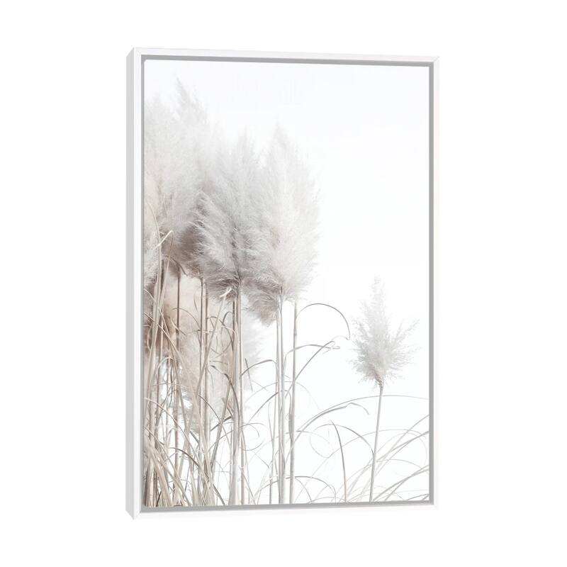 iCanvas "Pampas Grass II" by Magda Izzard Framed Canvas Print - White - 26x18