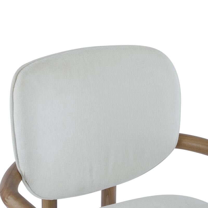 Dining Chairs Set of 2 Upholstered Arm Chairs, Modern Fabric Accent Chairs with Rubber Wood Legs