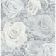 Option Grey