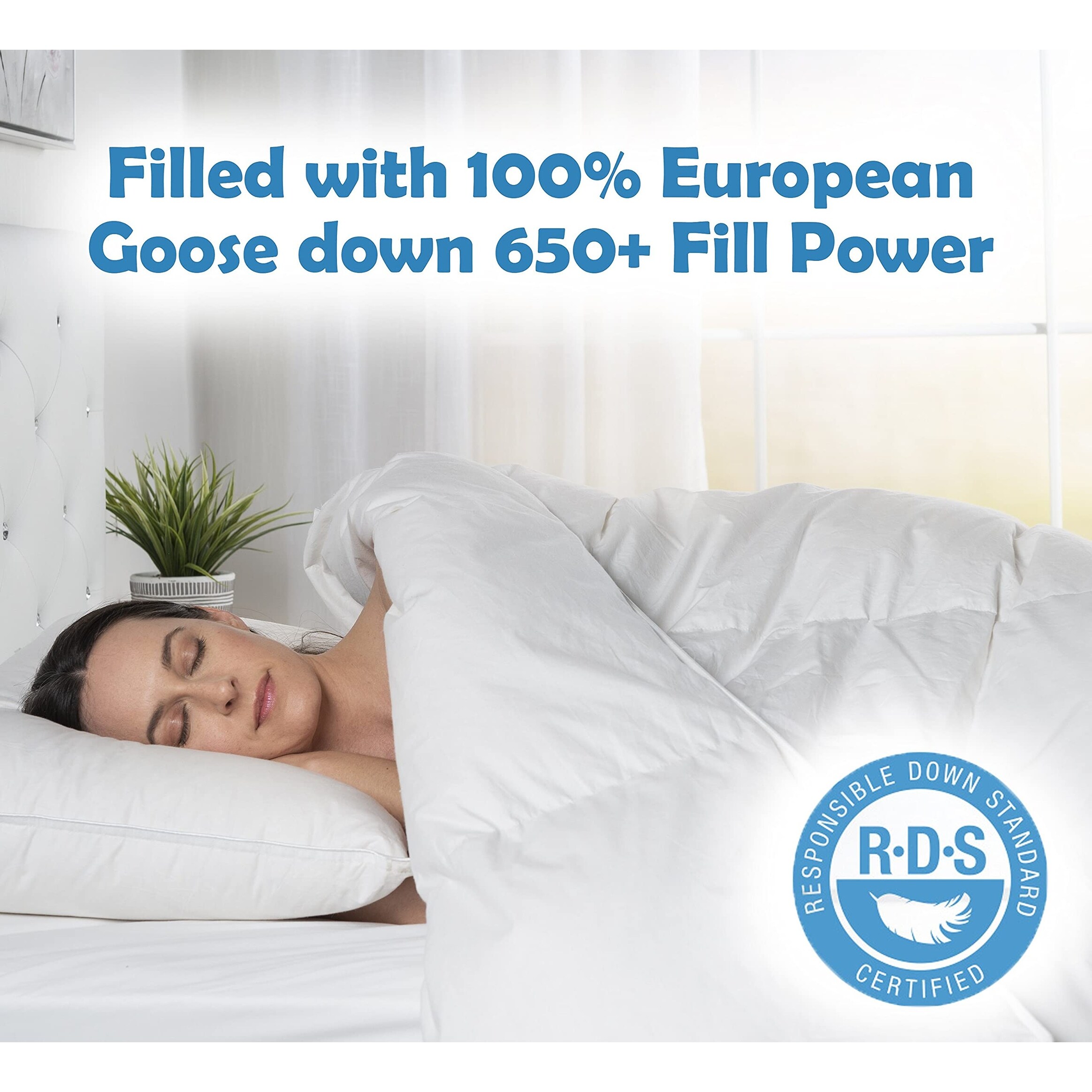 European Goose Down 650 Fill Power 