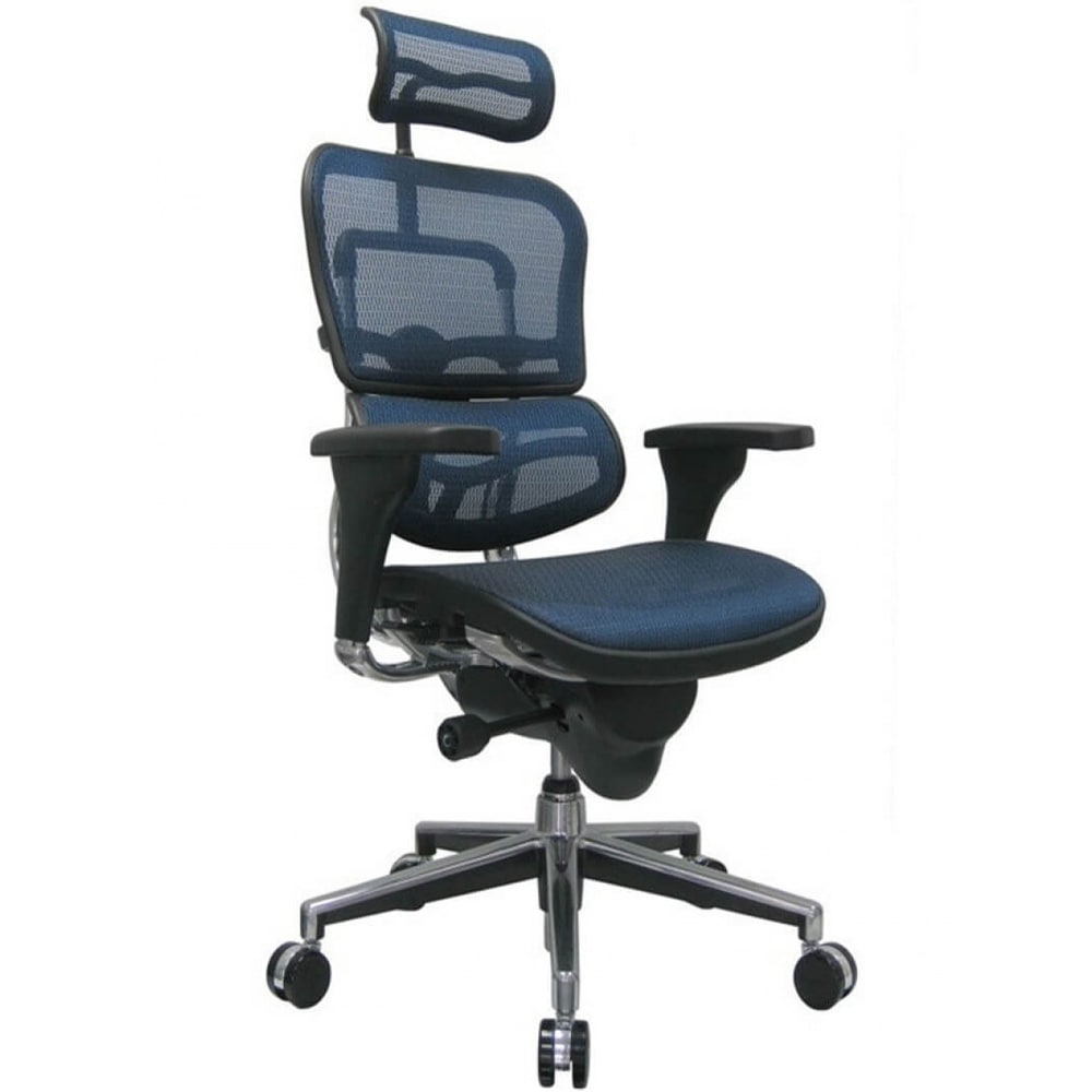 Ergohuman classic mesh deals