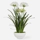 preview thumbnail 1 of 2, Uttermost Purity Agapanthus Centerpiece - 30"D x 30"W x 38.5"H
