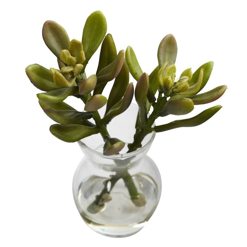 Succulent Arrangements Set of 3 - Decorative Faux Succulents in Vases - Home Office Decor - 6