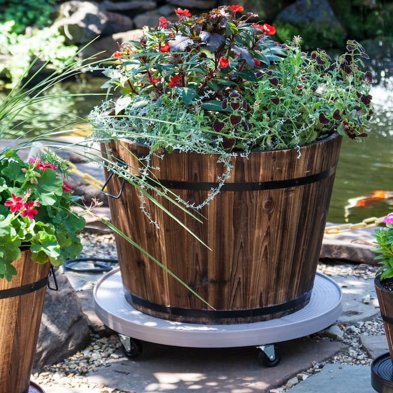 24-inch Gray Mist Plant Dolly