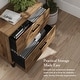 preview thumbnail 27 of 59, Lateral File Cabinet - 29.72"L x 16.69"W x 29.15"H - 29.72"L x 16.69"W x 29.15"H - 29.72"L x 16.69"W x 29.15"H