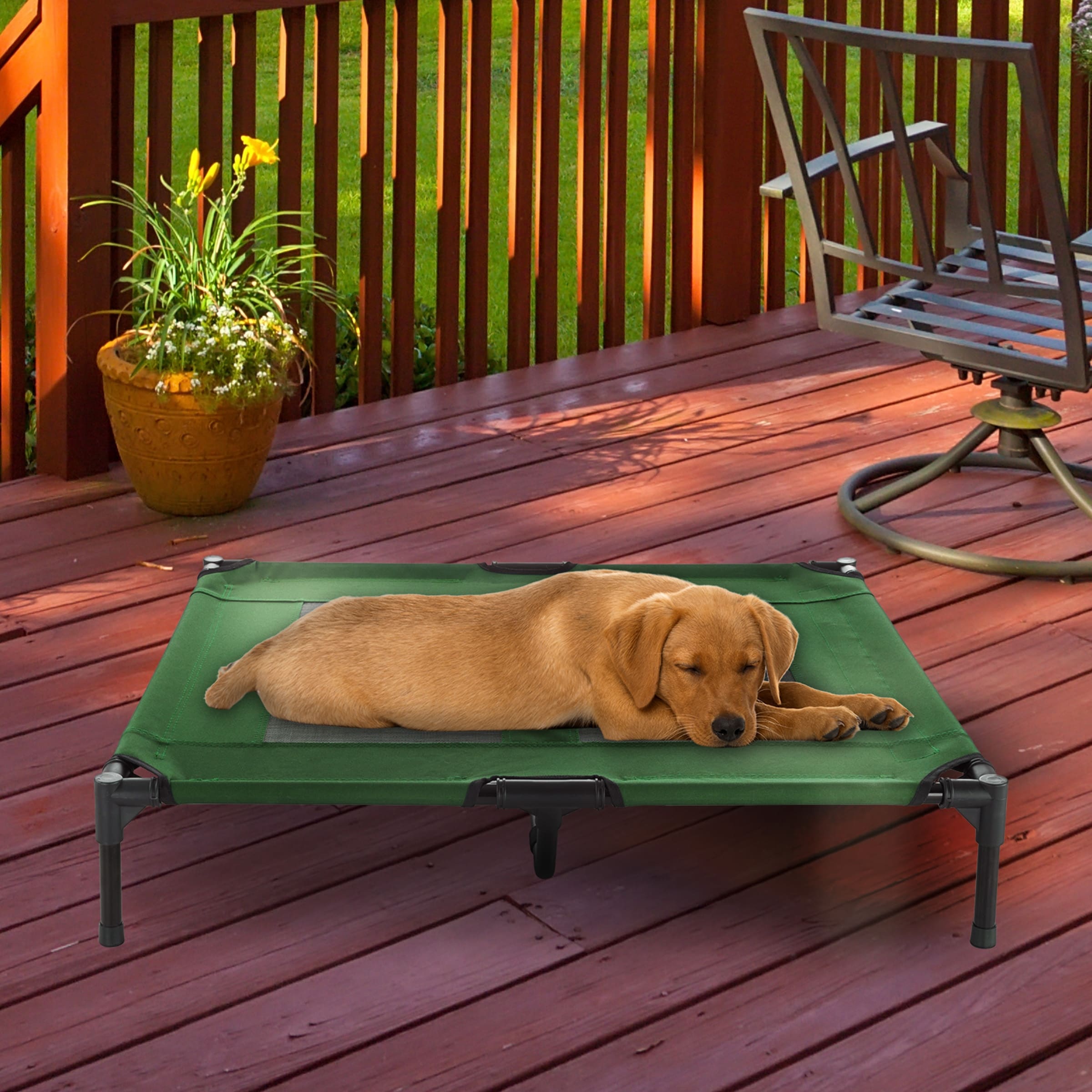 Portable raised on sale dog bed