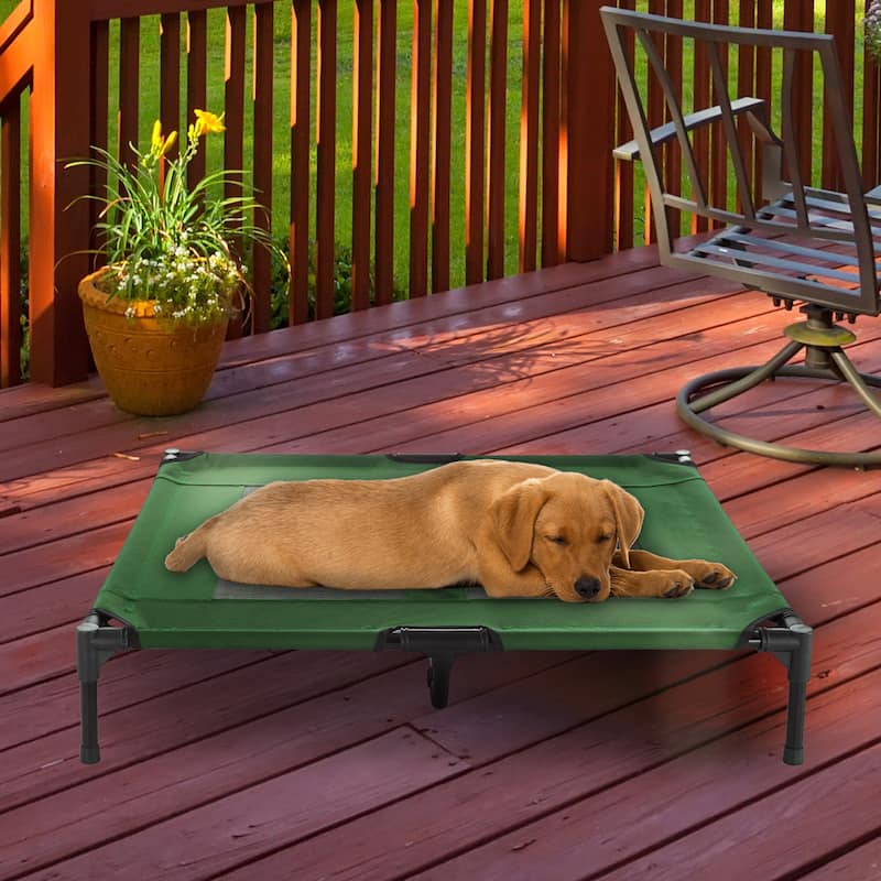 Petmaker Steel Frame Elevated Dog Bed with Non-Slip Feet - Indoor/Outdoor Puppy Cot for Pets - Large - Green