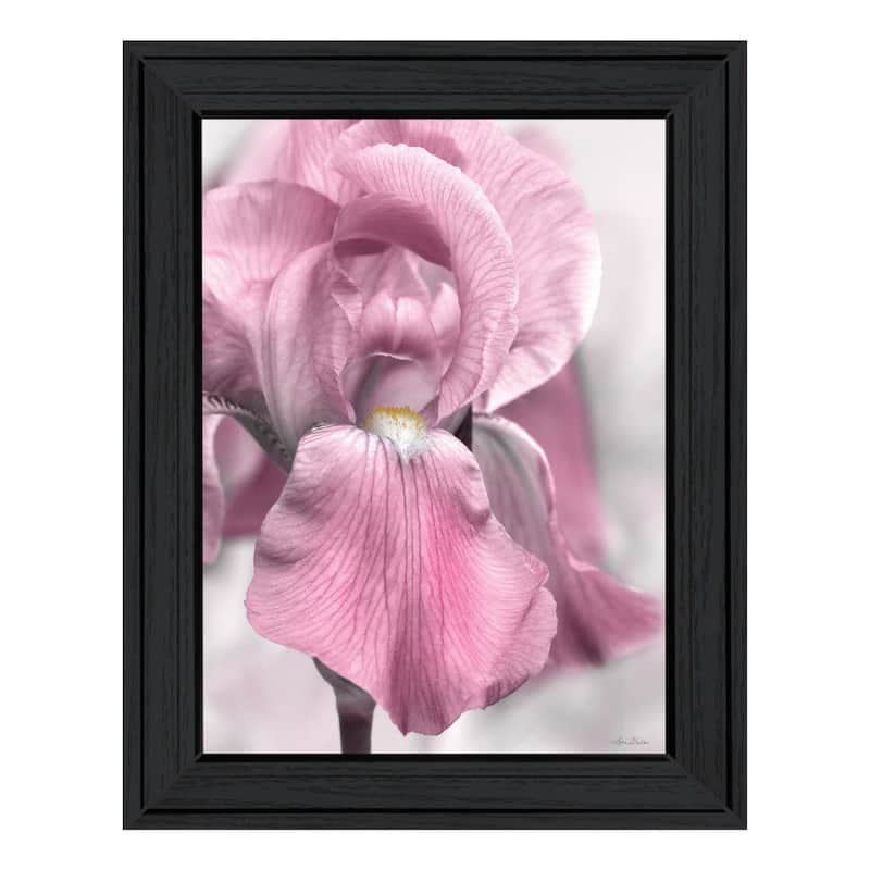 TrendyDecor4U "Pink Iris" Framed Print Wall Art