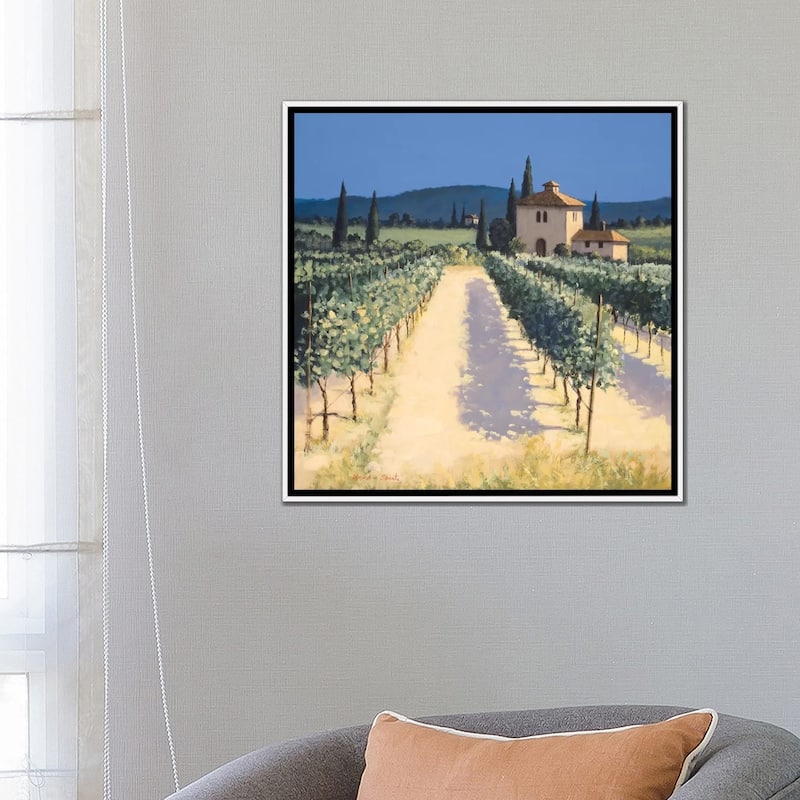 iCanvas "Vineyard Shadows" by David Short Framed Canvas Print
