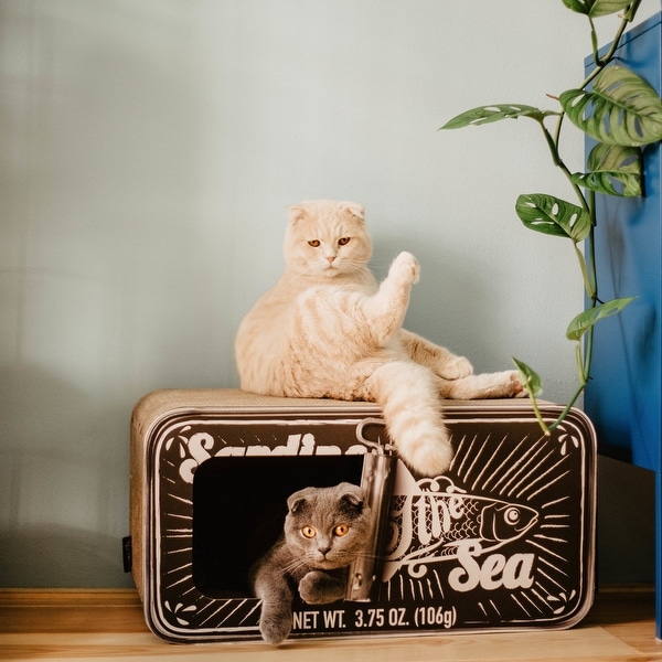 Sardine deals cat scratcher