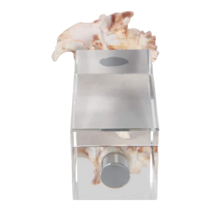 Glass Shell Decorative Object Crystal Block Base Coastal Glam Design