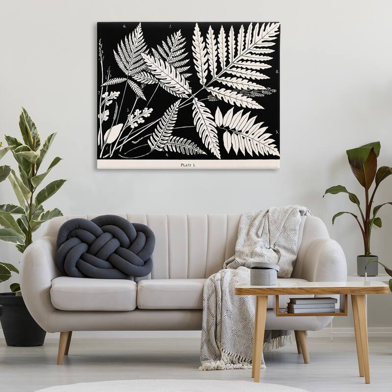 Stupell Overlapping Ferns on Black Canvas Wall Art Design By Phillipa Katz