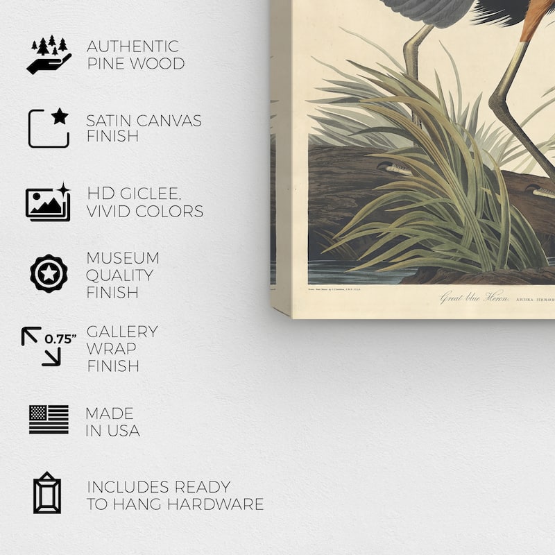 Wynwood Studio Canvas Animals Robert Havell - Great blue Heron Gray and Traditional Wall Art Canvas Print