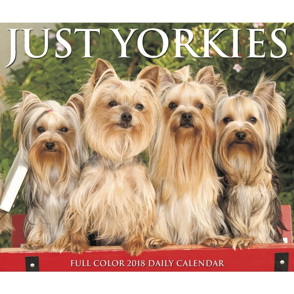 Shop Just Yorkies Desk Calendar Yorkshire Terriers By Willow