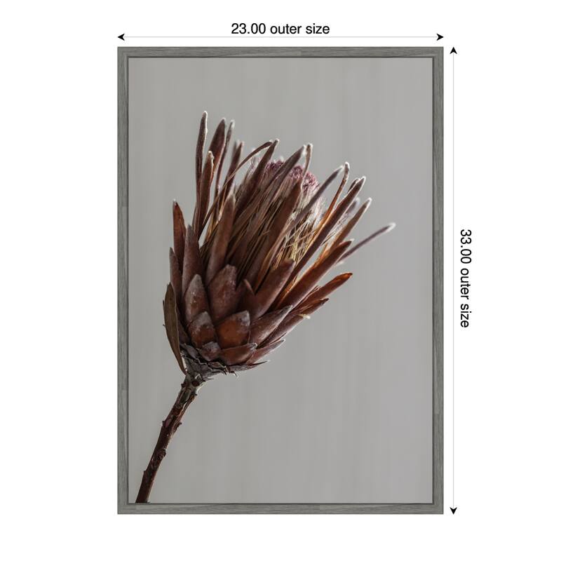 Momo by Shot by Clint Framed Canvas Wall Art Print - 23 x 33 in