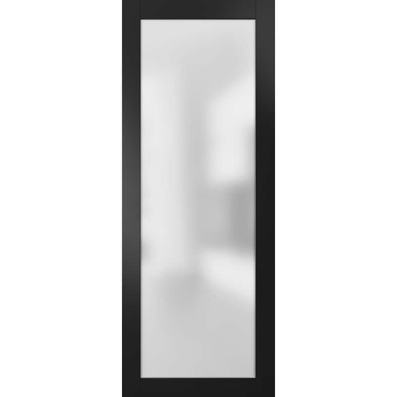 Slab Barn Door Panel Frosted Glass Lite / Planum 2102 Black Matte