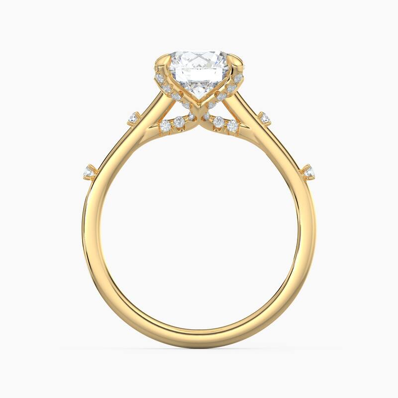 Auriya 14k Gold Petite Diamond Station Round Lab Grown Engagement Ring 1.00 to 5.00 ct. tw. (F-G, VS)