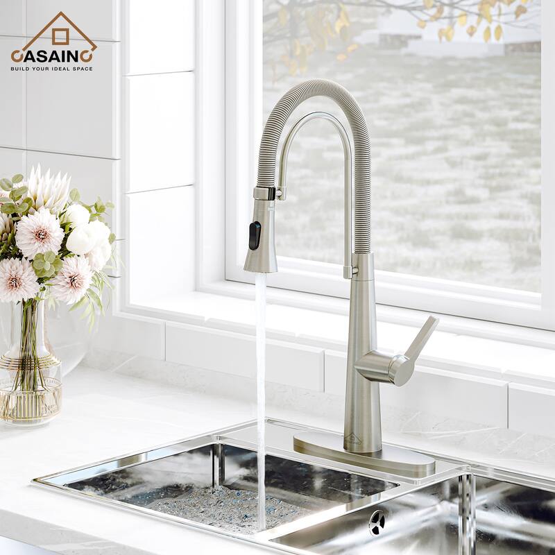Single-Handle Kitchen Faucet with Dual Function Sprayhead - Chrome/Clear