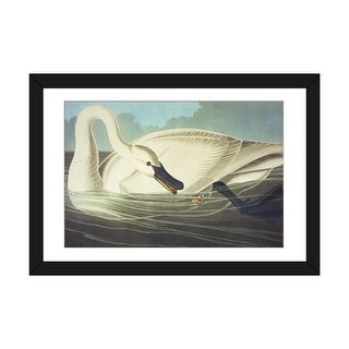 iCanvas "Trumpeter Swan II" by John James Audubon - Bed Bath & Beyond ...
