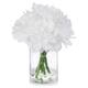 Option White