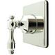 Option Polished Nickel