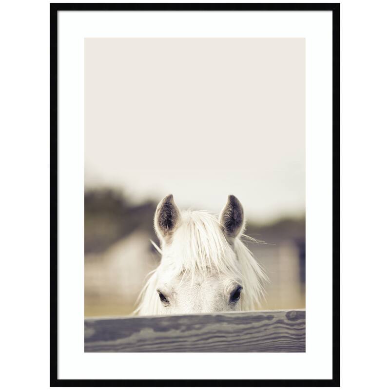 Kate and Laurel Equine Crop by Robert Cadloff Framed Wall Art Print - 31 x 41 - Black