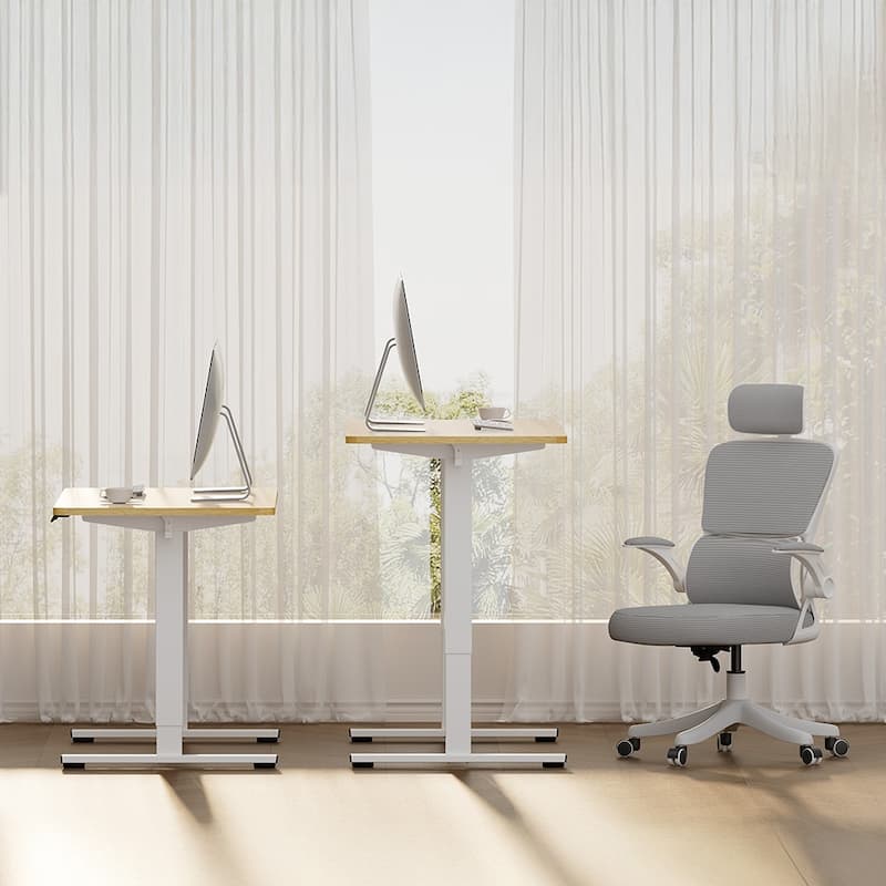 Electric Adjustable Standing Desk, 48x24 Home Office Workstation