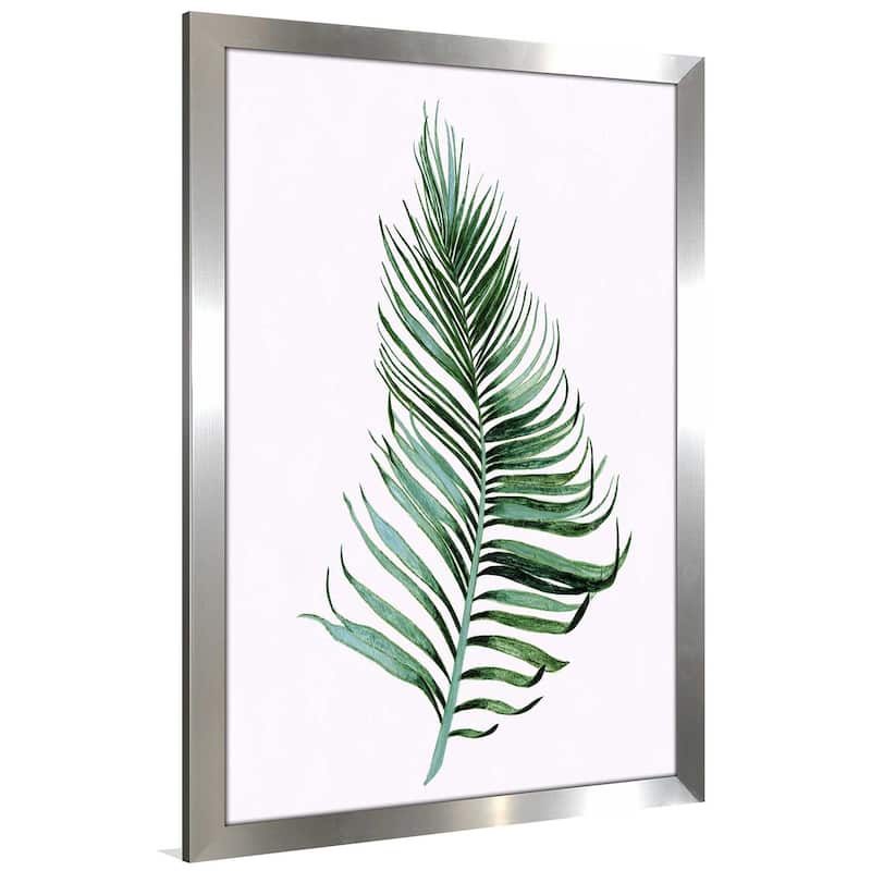 "Sage Frond II" by Tava Studios Print on Acrylic