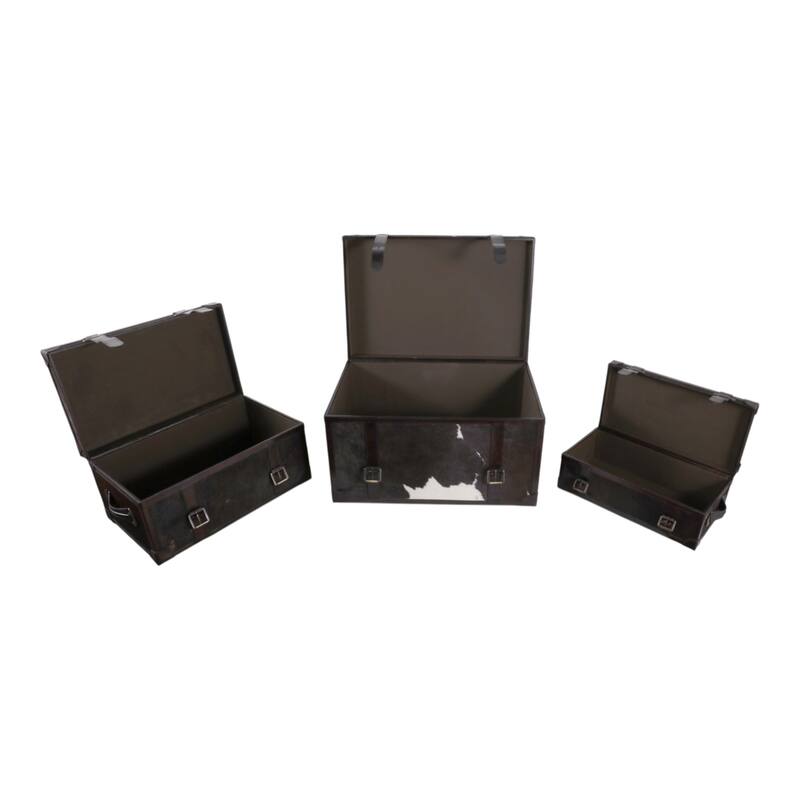 Storage Trunks with Buckle Detail - Set of 3 - 17", 15", 11" Multi - 27.0"