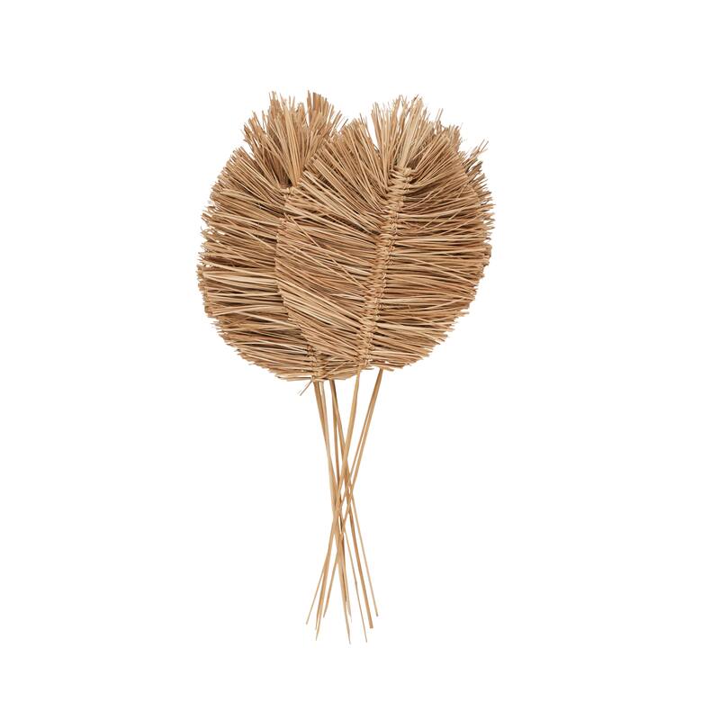 Brown Dried Plant Tall Spear Home Decor Natural Foliage with Sharp Stems