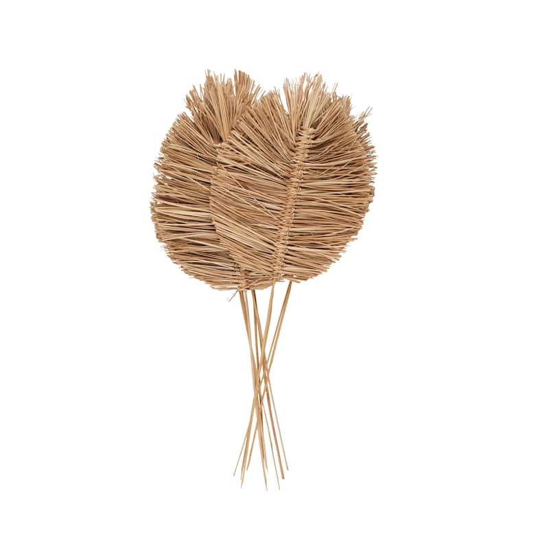 Dried Plant Tall Spear Home Decor Natural Foliage with Sharp Stems - Brown or Light Brown - Roche River Decor